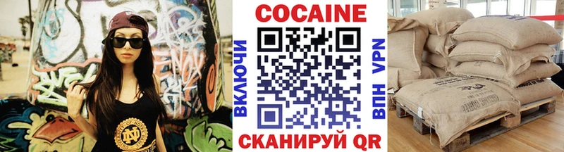 Купить закладки  Дальнегорск  Кокаин 99% 