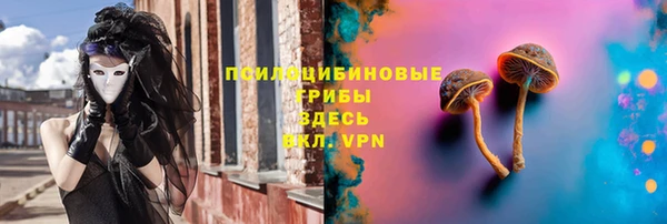 а пвп мука Гусев
