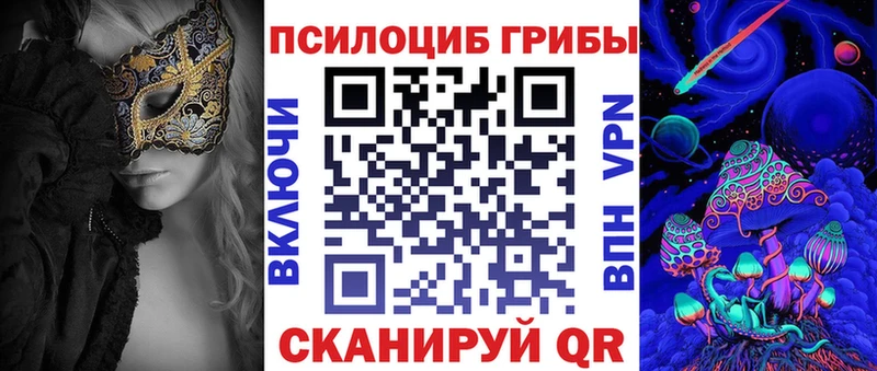 Купить  Дальнегорск  Галлюциногенные грибы Magic Shrooms 