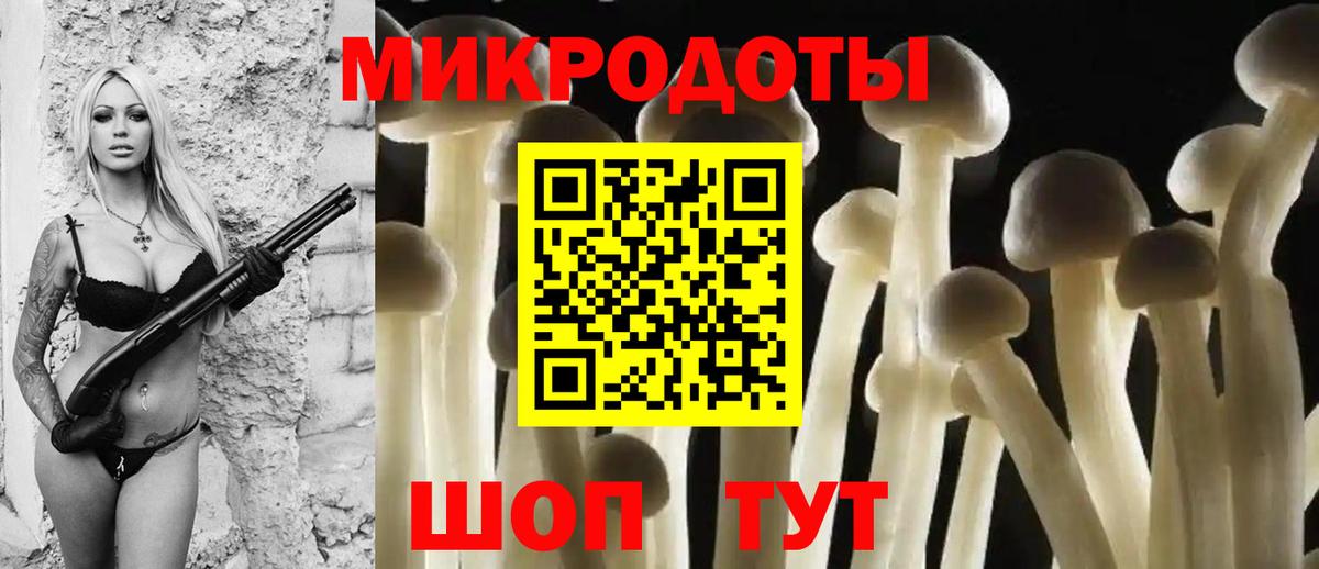 Псилоцибиновые грибы GOLDEN TEACHER  что такое   Псилоцибиновые грибы Psilocybe  Дальнегорск  Вход с VPN 