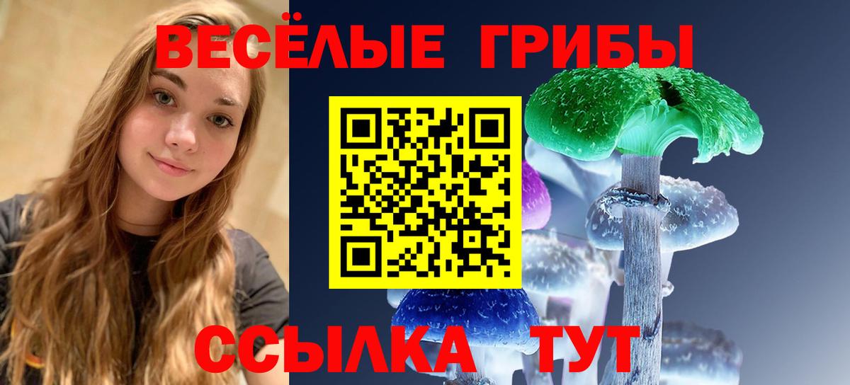 Псилоцибиновые грибы мухоморы  Дальнегорск  Галлюциногенные грибы Magic Shrooms 