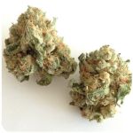 Шишки "White Widow"  (Белая вдова)  Гидропоника -  Бошка VHQ в Дальнегорске